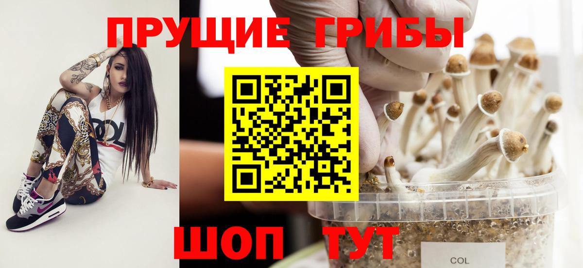 Псилоцибиновые грибы MAGIC MUSHROOMS  Вход с VPN  Галлюциногенные грибы мухоморы  Фролово 